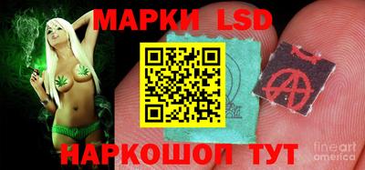 амф Ярославль